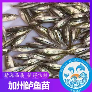 ���������糡������������ֳ���� ������������������