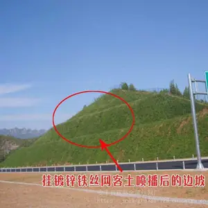 ��Ӧ���� TBSֲ�������̻�
