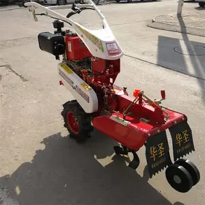 ������ˮ���������� 10������Ǿ������� �ٺ���ֲ������