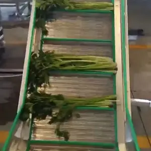 果蔬清洗风干机 气泡式清洗机 气泡喷淋清洗机
