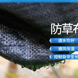 ���ݲ�����԰�յز�����ݲ���