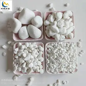 ���ư���ʯ ԰���̻�װ�ΰ�ʯ�� �������� ͥԺ�쾰 06-0.9cm