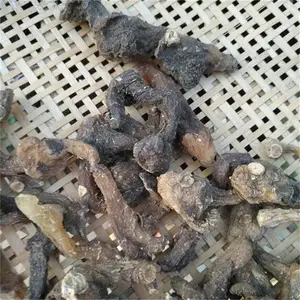 ���켦ͷ�κ�ɻ� ��ͷ�κ濾�� ����ȳ�