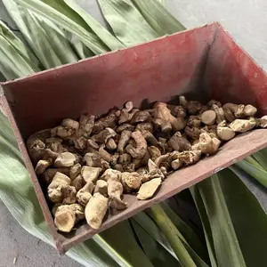 ʢ����˿����������϶���ʽ�������ζ��϶���ĥ�϶�������ʯ��ʯƤ����ʽ�������ڶ�