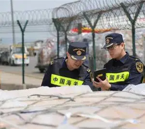 专注报关代理服务 北京冷冻水产品进口报关 进口商检
