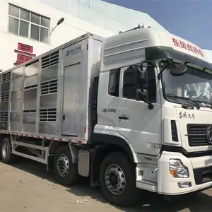 东风天龙猪仔运猪车