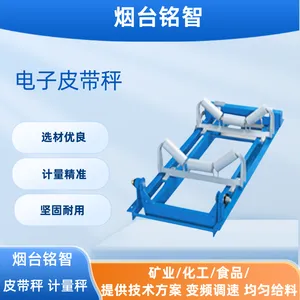 铭智电子皮带秤 防爆型输送计量物料 矿用连续称重传感器 定制