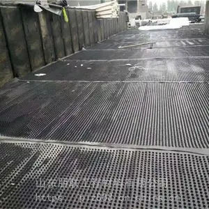 内蒙古塑料排水板/25mm凹凸型排水板/车库滤水板厂家