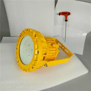 华荣 机房LED防爆灯20w 炼化厂LED防爆灯50w 价格优惠