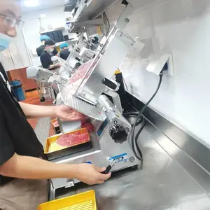 �ɱ߸�ʿ��50/60/351������Ƭ������������