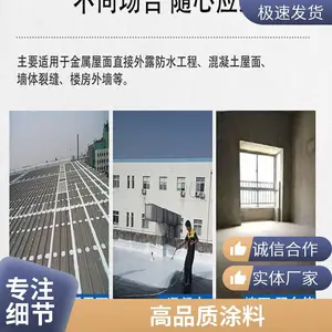 ��ˮ��ѡ�ߵ���ϩ���ˮͿ�� ��ˮ��ǿ ʩ������ Ӧ�Ը�����������