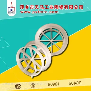 天马陶瓷供应优质PP阶梯环填料,塑料散堆塔填料