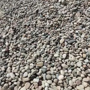 ��Ӧ������·����ʯ�껨ʯ��ɫ ��ɫ��ɫ�׹�ʯͷ��԰��·��ʯ��