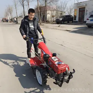 ��԰���������� ���ʹ���ר�������� �ַ���