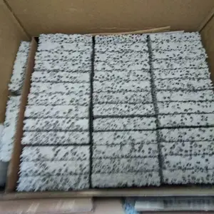 Ȩ����������ĭ�մɹ����� ����****** ̼���� �������ʹ��˰�