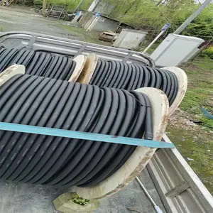 ��֦�����տ�֪��Ƶ����1/2�������� �˷�֮������ͭо���߻���