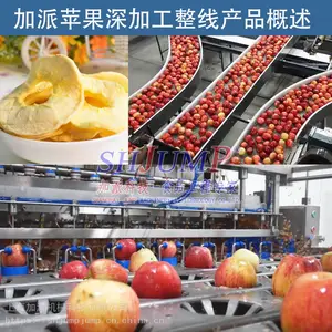 苹果脆片加工生产线 苹果深加工整线产品 苹果汁苹果酱加工设备