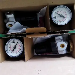 �¹�Riegler CL 33ѹ���������������ڹ�ҵ�Զ���G1/2����