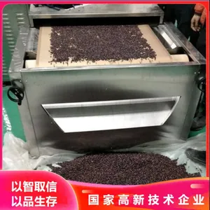 核桃仁微波杀菌设备 微波烘干设备 干果坚果烘干杀菌机