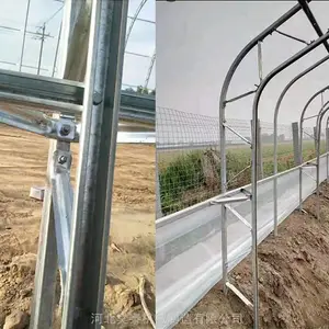 反季节香梨温室 双膜骨架 双拱双膜温室大棚 草莓种植暖棚