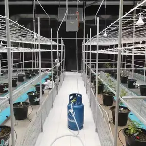 ֲ���������ֹ��� ֲ����ֲ ֲ������ ֲ������ ����ũҵ