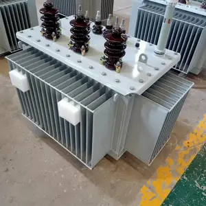 S11-100KVA/20��2*2.5/0.4 20KV�ͽ�ʽ��ѹ�� ��о ����