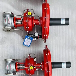 SENMA����ʽ��Ĥ΢ѹ���ڷ�ZZYVP-16P�������ⷧ