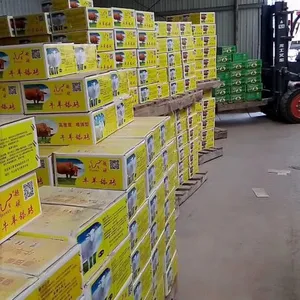 �����к����ؽ������ϳ�������ש������ש��