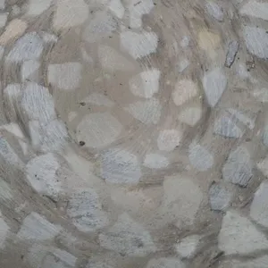 �Ƹ�12ͷ��ƺ��ĥ�� ���630�������̻���ĥ�� �Ӵ�ˮ��������ֱ��