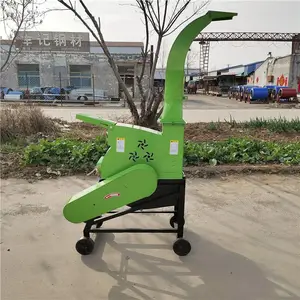 ��Ӧ��ֳ�����������׽ո�ա�ݻ�_�ַ��е�����ա����˿��