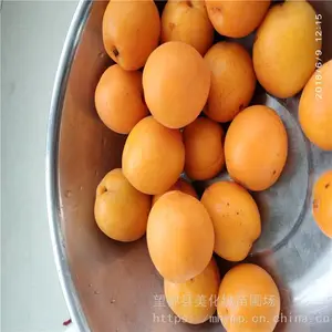 ����Ե ����÷�Ӽ۸� ��÷ ���ۼ۸�