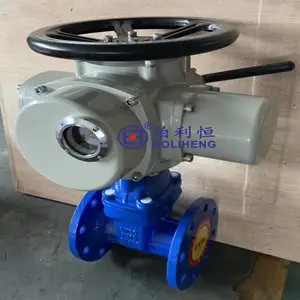 ������ ���ת ���ŵ綯װ�� DZW10-24 ��ͨ������ �綯ִ����