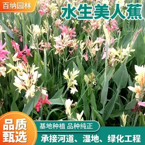 ���� ˮ�����˽����� ˮ�����˽����ع�Ӧ ˮ�����˽���ֲʩ��