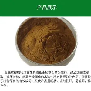 荆芥粉 植物提取原料 速溶浓缩 比例提取 长期供应