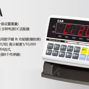��ʿCAS CI-200A���ؿ����Ǳ�