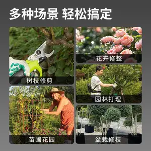 格力博greenworks40v电动修枝剪刀果园果树剪粗枝修剪35mmCSF410