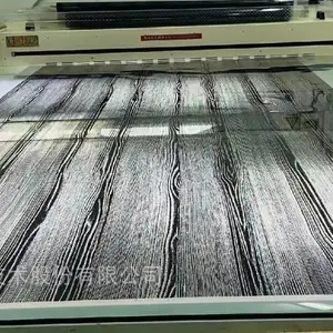 ���ֵ�Ƭ�߾���50800DPI