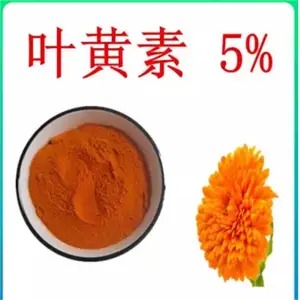 ��ҵ��Ҷ���س��� �ߺ������Ӽ� ˮ������ɫ�� ��ĩ״