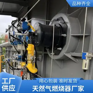 退火炉沥青搅拌站高炉煤气工业燃烧器燃烧器源头厂家岱鼎燃烧