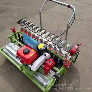 �����߲˾����� ����6�в��ֻ� �⽨���߲˲��ֻ�