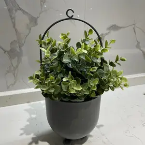 ��ŷ����װ�λ�������ڼ�������̨��ֲ���һ������ո��Ե������
