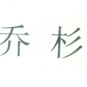 昆明乔杉经贸有限公司