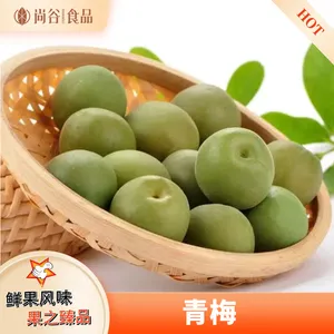 青梅代加工 青梅贴牌定制 青梅零食批发厂家