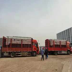 ����UPS���� �����ƶ����س� 24Сʱ��������