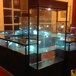 济南展柜出租价格,租赁珠宝展柜哪家比较全