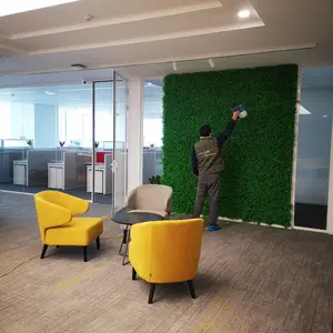 新装修的办公室除甲醛去异味,你学会了吗?