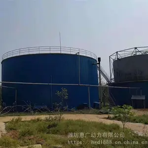 鸡粪污泥厌氧发酵罐 沼气收集罐 高低温转化厌氧发酵工程