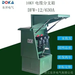 ����10KV��ѹ���·�֧��DFW-12/630A�ֽ��� ����