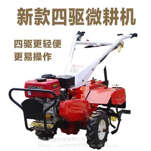 �³�����԰�������ݻ� ����ʽ��������΢���� ��԰������¢ʩ�ʻ�����