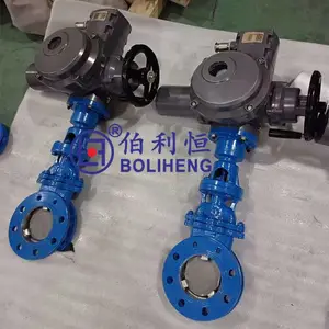 ���ݲ����� ���ת���ŵ綯װ�� DZW20-18 ��վ�͵綯ͷ